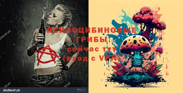 синтетический гашиш Алексин