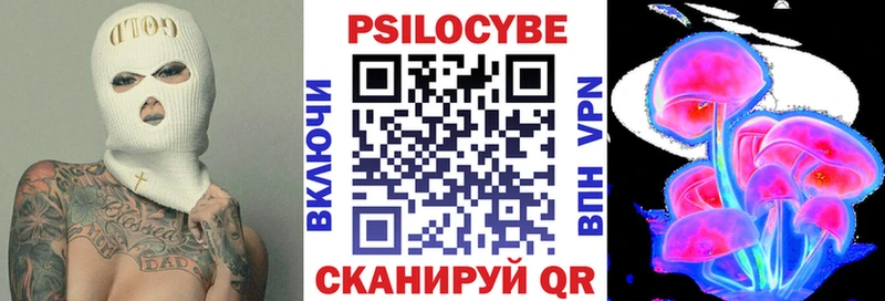 маркетплейс официальный сайт  закладки  Чадан  Галлюциногенные грибы Cubensis 